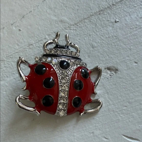 Red and Black Ladybug Brooch - Picture 3 of 5